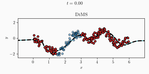 dims_animation.gif